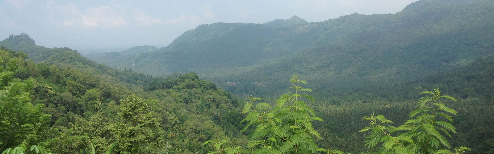 Bukit Abah Mountain Retreat Bali Living in Harmony With Nature